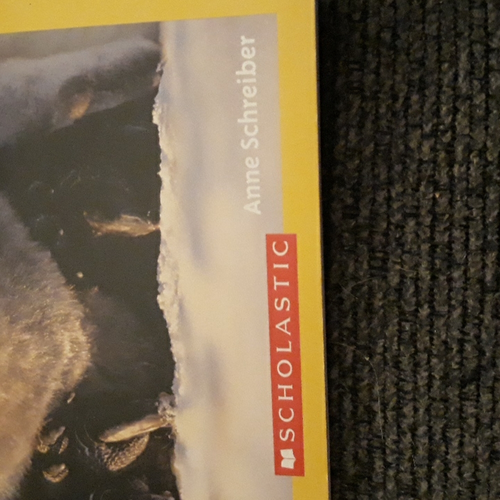 National Geographic Kids Schilastic Penguins Magazine Scienece Level 2 reader - Picture 3 of 9